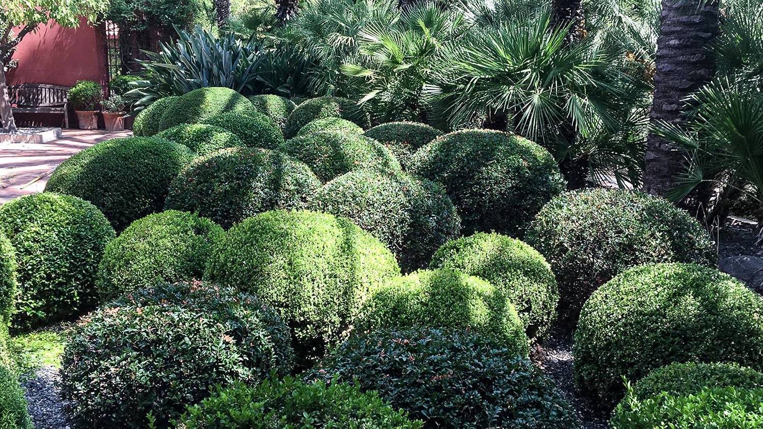Cuidado de setos y jardines en marbella y benahavis