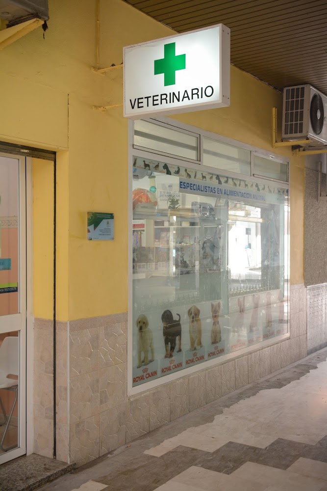 Mascota Express Torre del Mar
