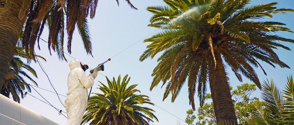 Jardines Molimar