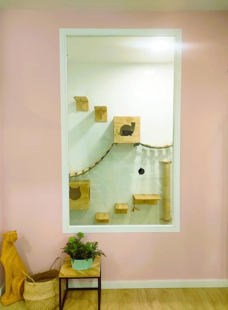 City Cat Málaga Foundation