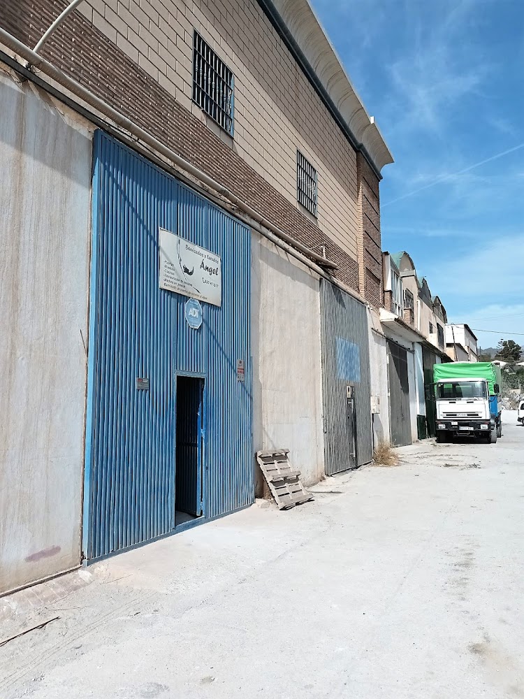 Barnizados y Lacados Ángel