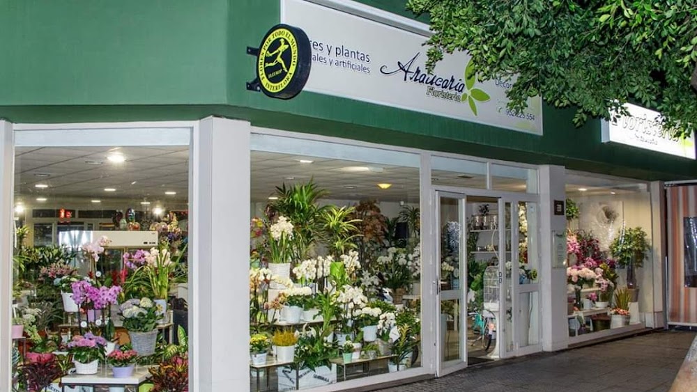 Floristería Araucaria